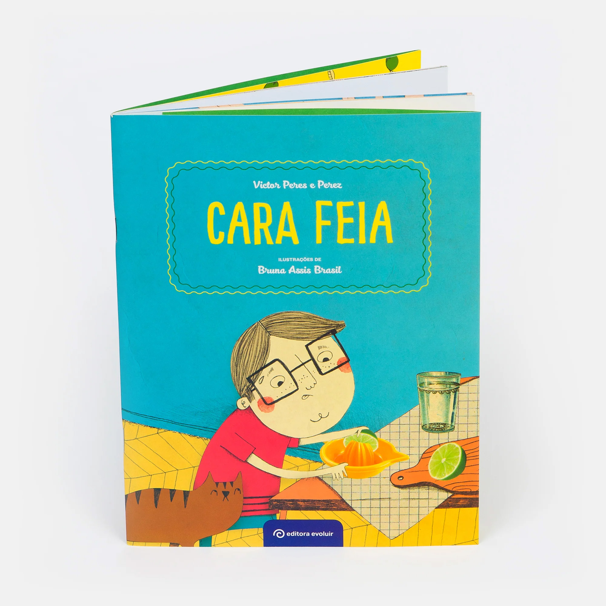 Capa do livro - Cara feia