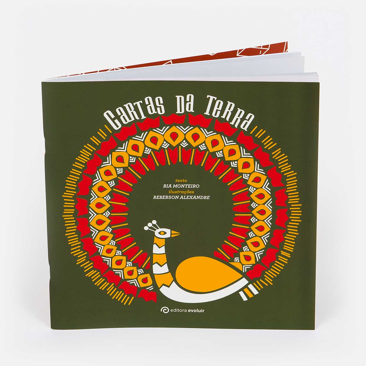 Capa do livro - Cartas da Terra Capa do livro - Cartas da Terra