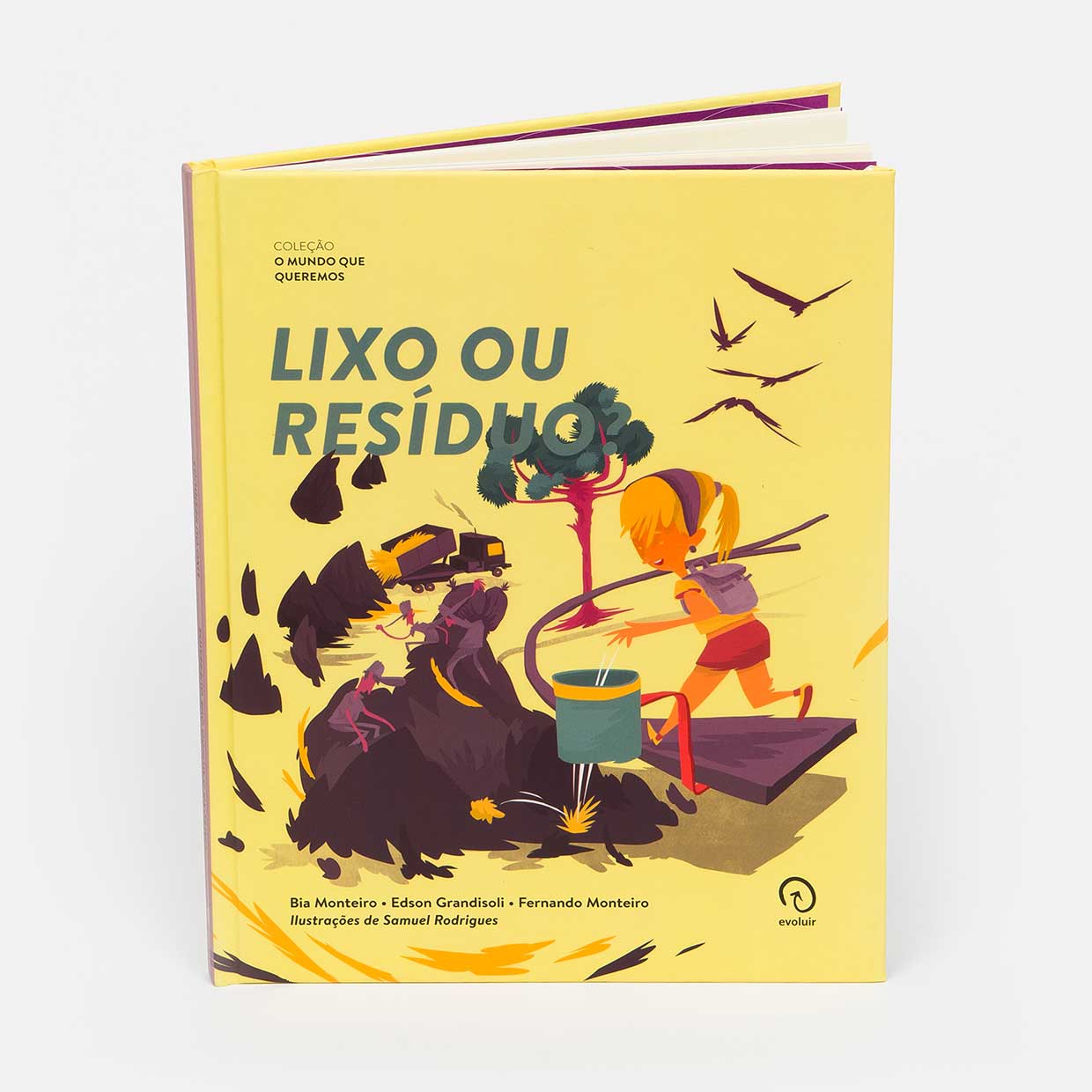 Capa do livro - Lixo ou Resíduo? Capa do livro - Lixo ou Resíduo?