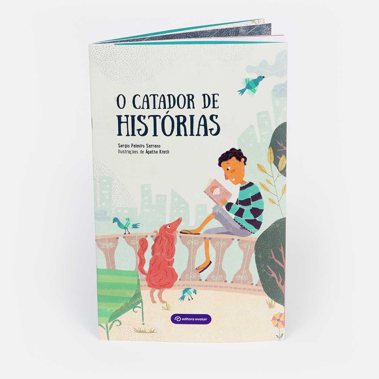Capa do livro - O catador de histórias Capa do livro - O catador de histórias